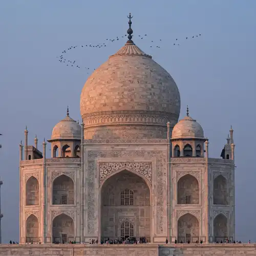 Same Day Tours